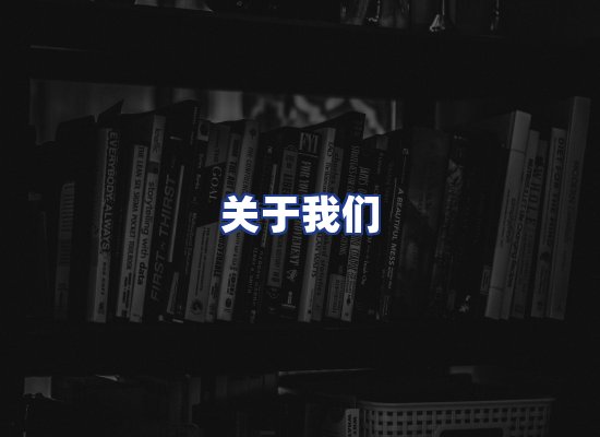 专业团队